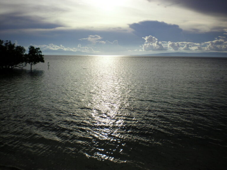SANY0077.jpg