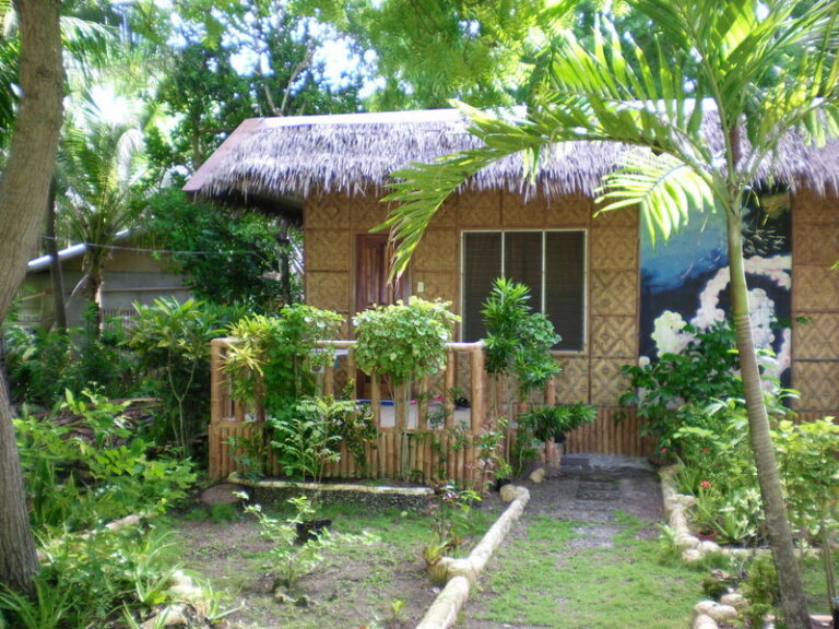 SANY0282.jpg